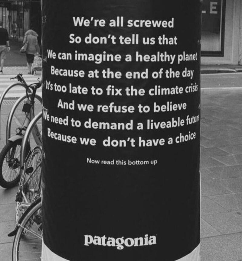 Patagonia's purpose