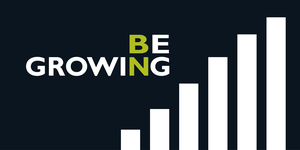 scaling a company - the gospel of growth by BN Branding