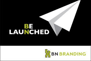 sure signs of trouble for startups - BN Branding