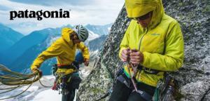 what great brands have in common Patagonia