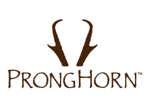 Pronghorn brand identity BN Branding